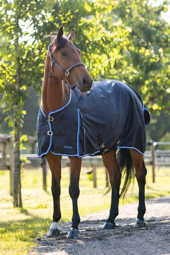Lightweight Turnout Rugs